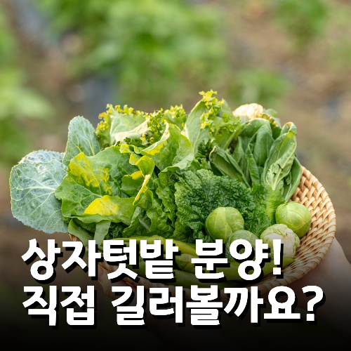 2026년 노원구 상자텃밭 분양 소식! 베란다 텃밭 가꿔볼까요? (선착순 조기 마감) : 네이버 블로그