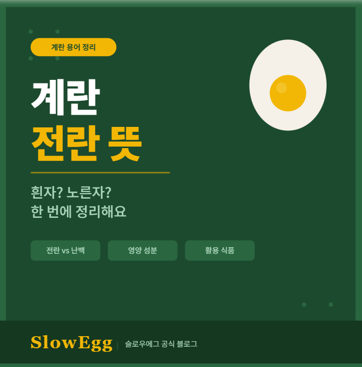 계란 전란 뜻, 딱 한번만 읽으면 이해돼요 : 네이버 블로그