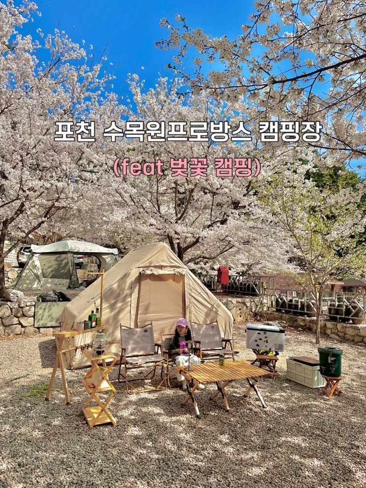 포천 수목원프로방스 캠핑장 벚꽃 (명당추천, 연자방아3, 예약, 솔직후기) : 네이버 블로그