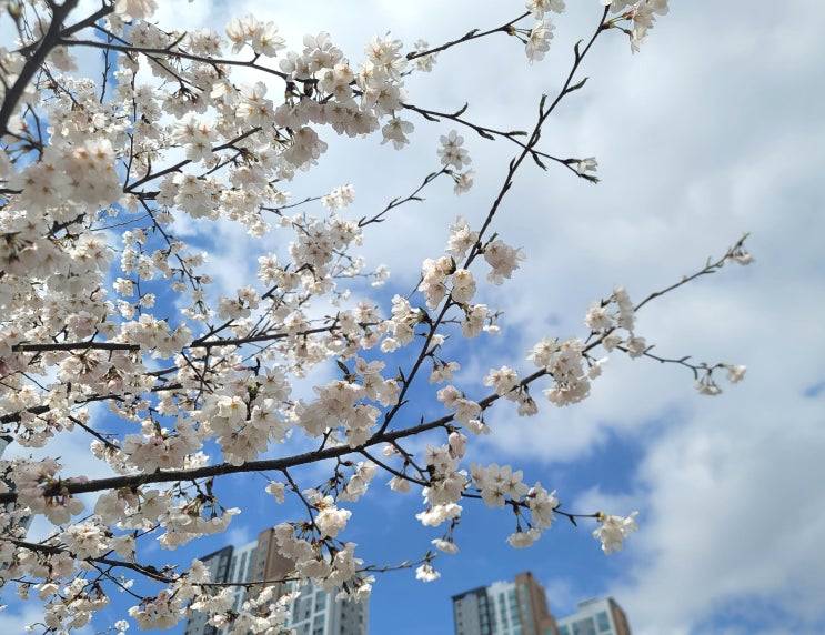 용소수변공원 방문 사진
