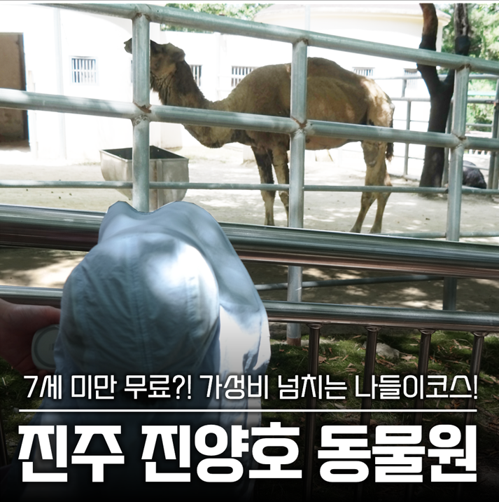 진양호동물원 방문 사진
