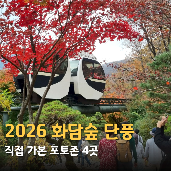 2026 화담숲 단풍｜단풍시기와 직접 가본 포토존 4곳 : 네이버 블로그