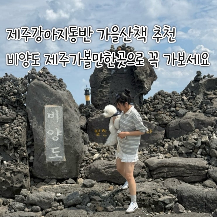 제주강아지동반 가을산책 추천 비양도 제주가볼만한곳으로 꼭 가보....