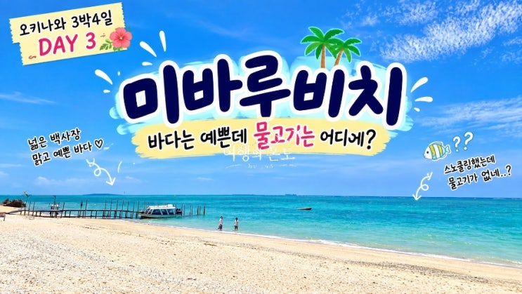 오키나와 미바루비치 스노클링 후기｜바다는 예쁜데 물고기는 어디....