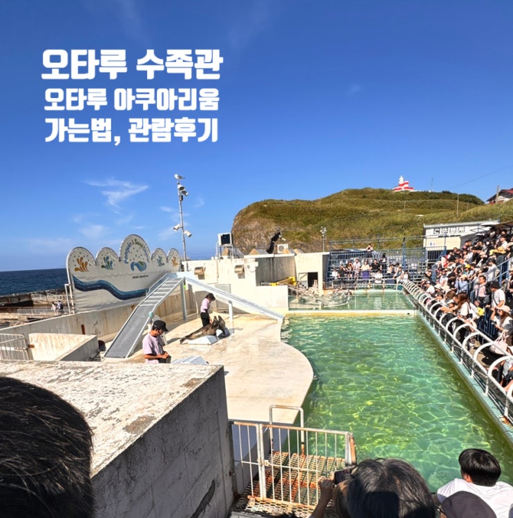 오타루 수족관, 오타루 아쿠아리움 다녀온 후기