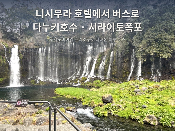 [시즈오카 여행] 다누키호수·시라이토폭포 버스로 가는 법 총정리 |....