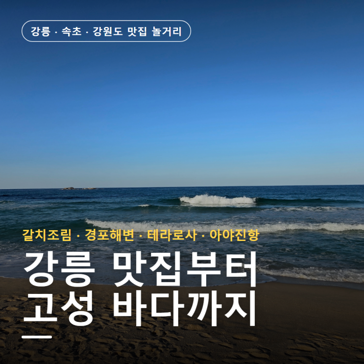 강릉 속초 강원도 맛집 놀거리 코스 갈치조림부터 경포해변 테라로....