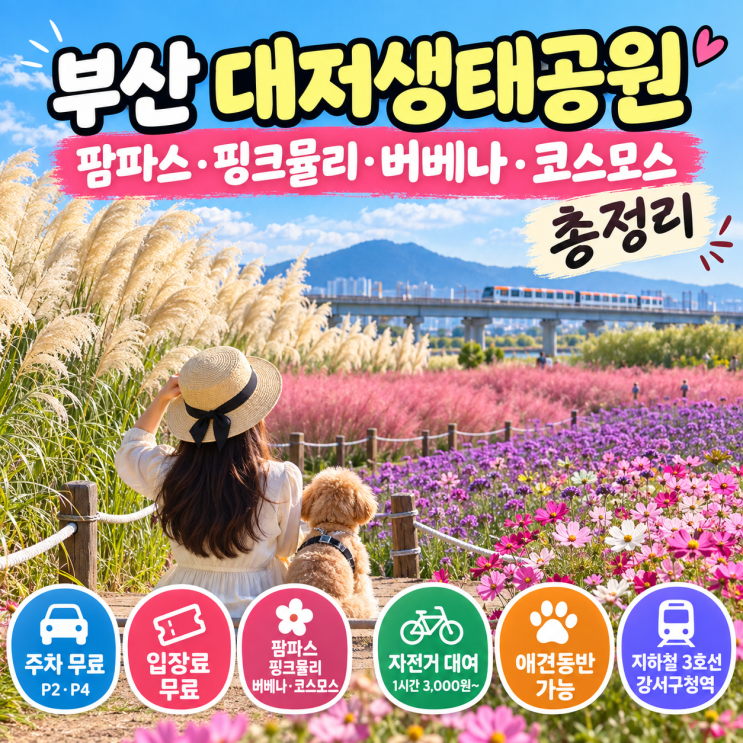 [정보/여행] 부산 대저생태공원 팜파스·핑크뮬리·버베나·코스모스....