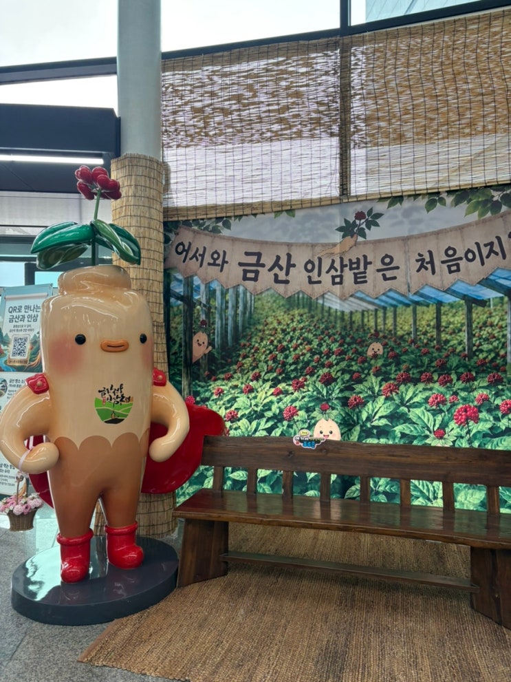 금산세계인삼축제 후기｜10월 국내 가을축제 추천, 인삼튀김부터 다양한 체험까지