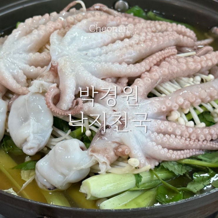 천안 성정동 맛집 연포탕 낙지 전문 박경원낙지천국 : 네이버 블로그