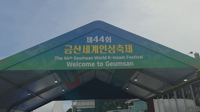 [금산세계인삼축제] 금산축제 21개월 아기와 함께 다녀온 솔직 후기! (주차정보, 수유실, 체험 정보)