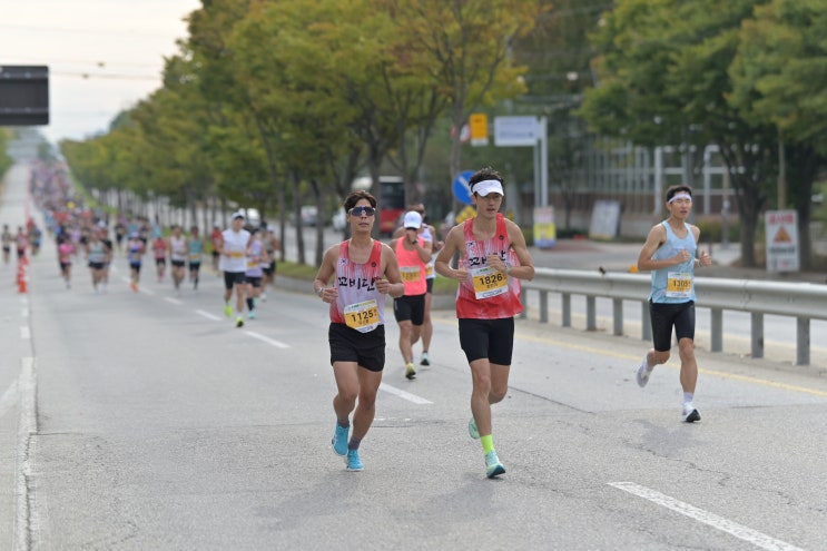 김제새만금 지평선 전국마라톤_261003