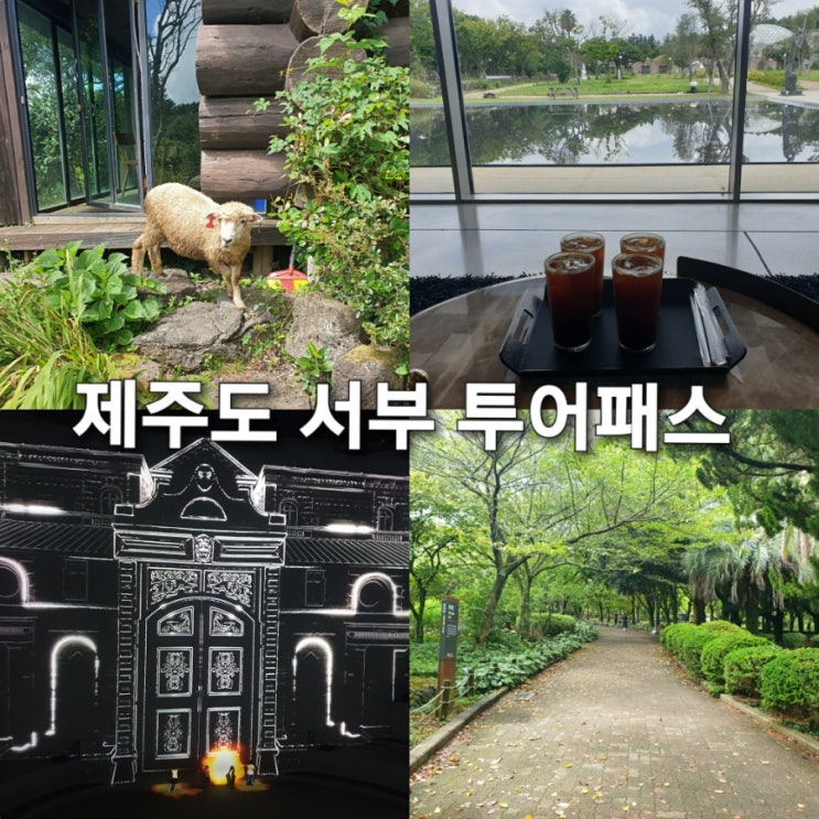 2박 3일 제주도 여행 l 1일차_ 제주 투어패스 24시간권 서부 코스(1) : 네이버 블로그