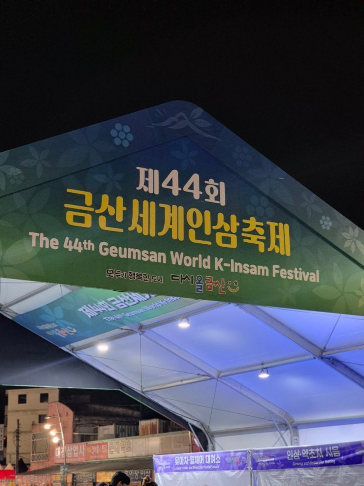 44회 금산세계인삼축제 방문 후기