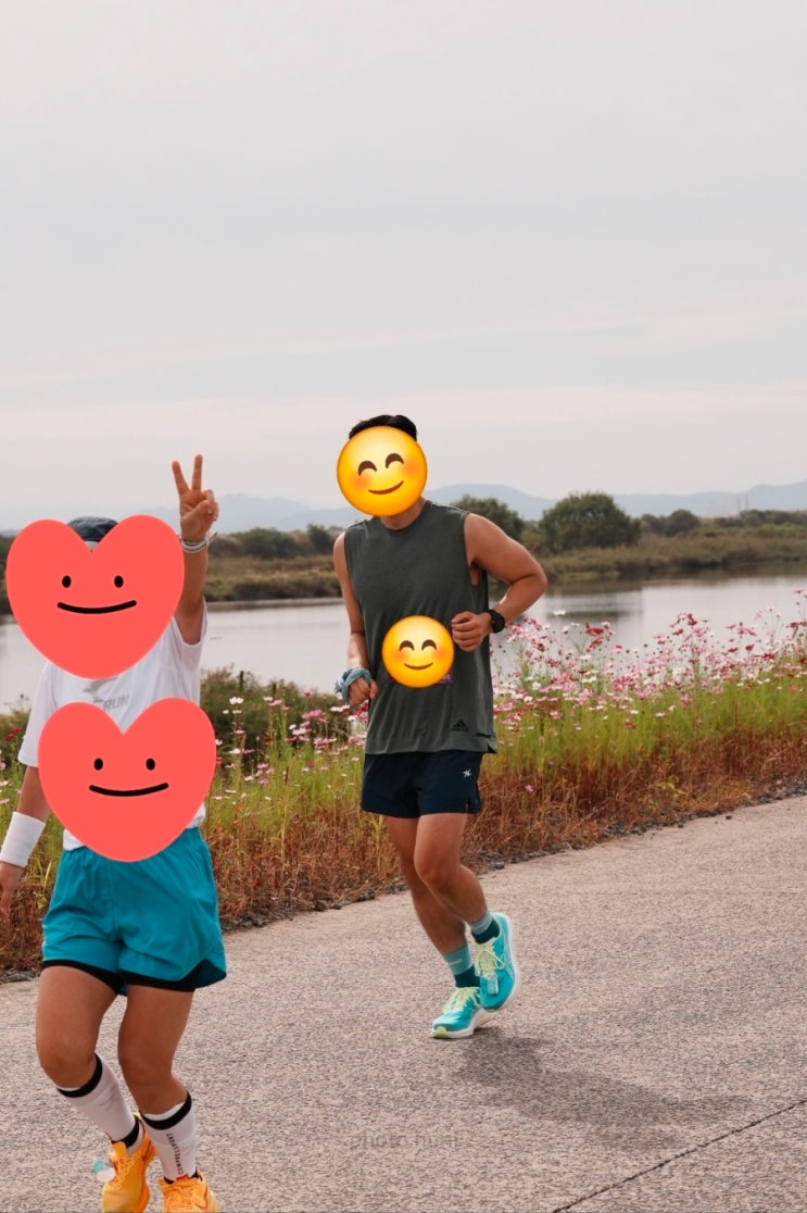 2026 서산 코스모스 황금들녘 마라톤대회 🍁