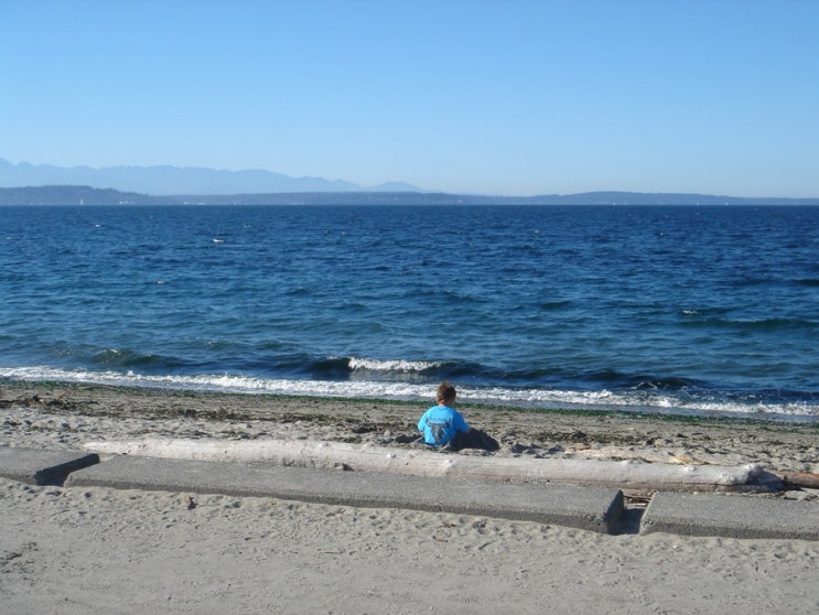 Sony dsc t3_Alki beach 10월