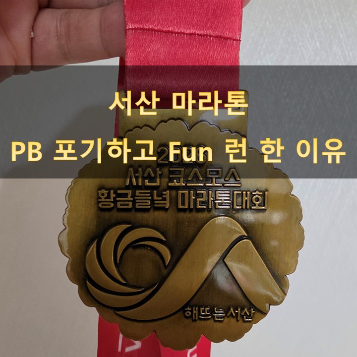 서산 코스모스 황금들녘 마라톤 후기 주차장 정보와 코스 정보