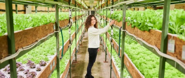 Vertical Farming 수직 농업 : 네이버 블로그