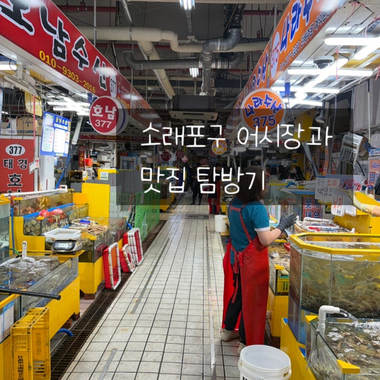 소래포구 가을축제 후기 어시장 대하 가격부터 여수오동도조개구이....