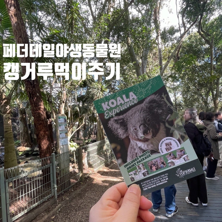시드니 페더데일 야생동물원 쿼카 왈라비 캥거루 먹이주기체험