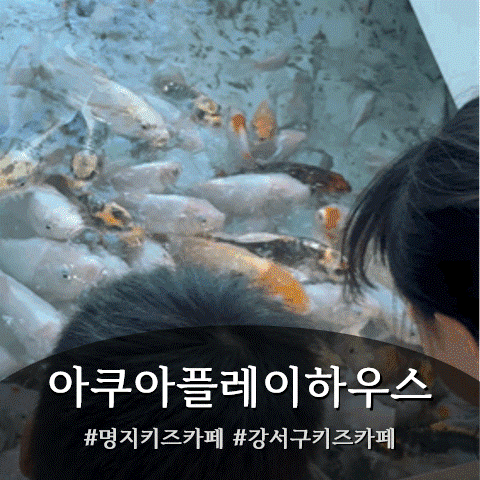 명지아이랑 명지 키즈카페 아쿠아플레이하우스 가격 주차 방갈로 ....