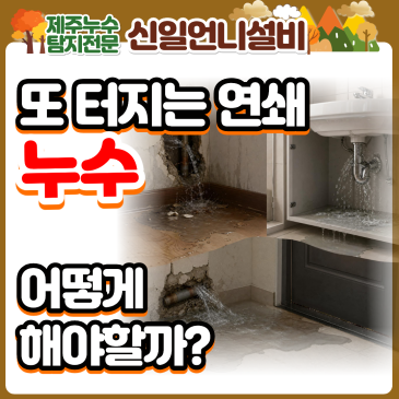 제주도누수 신제주 아파트, 또 터지고 또 터지는 연쇄 누수의 덫! 여성누수전문기술자가 해결한다!