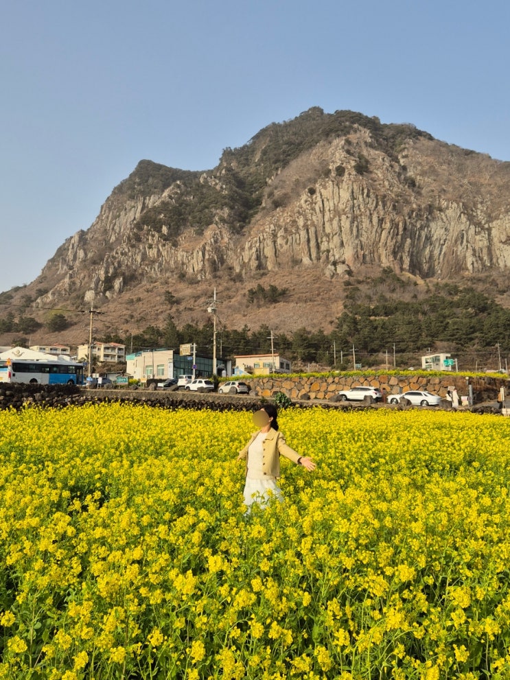 제주 금오름, 협재해수욕장, 제주 바다기찻길, 송악산산방산해안도....