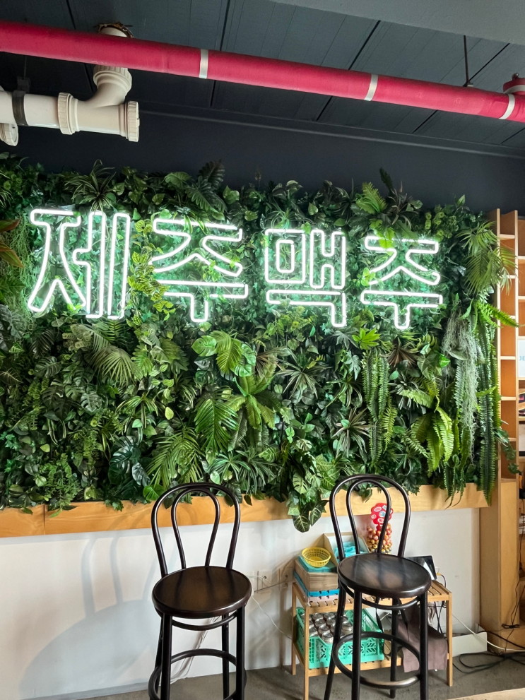 제주맥주 양조장 견학 — 맥주가 만들어지는 8단계와 시음 4잔