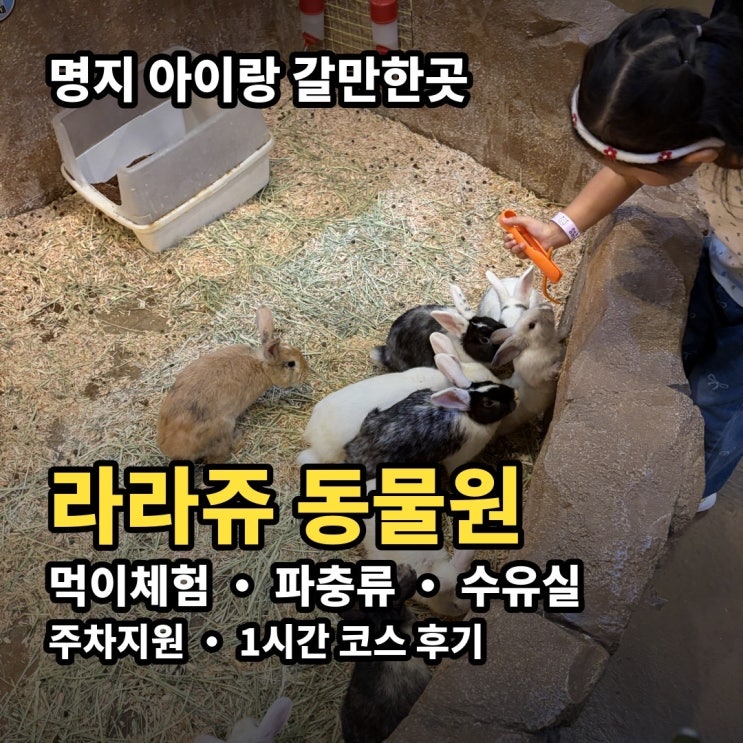 명지 라라쥬 동물원 | 부산 아이랑 가볼만한곳 먹이주기 체험, 파충....