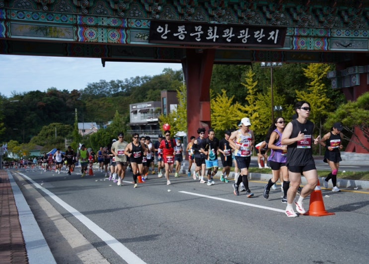 2026 안동마라톤 하프 코스 난이도와 아디오스 프로4 착화 후기