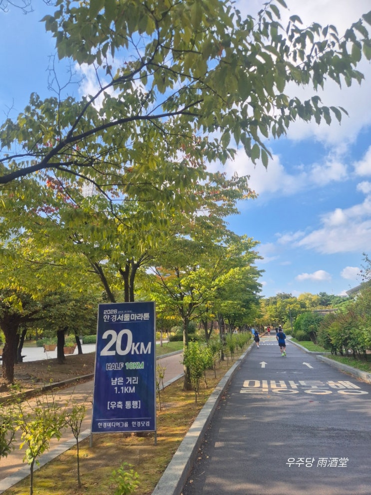 [2026 한경서울마라톤] 하프 완주, 체력보다 먼저 말썽 난 발바닥