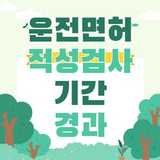 운전면허 적성검사 기간 경과 과태료 대상 조건 신청기간 완벽정리, 모르면 손해보는 핵심 : 네이버 블로그