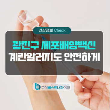 광진구 세포배양 독감백신 어디서? 계란 알러지가 있다면 확인하세요