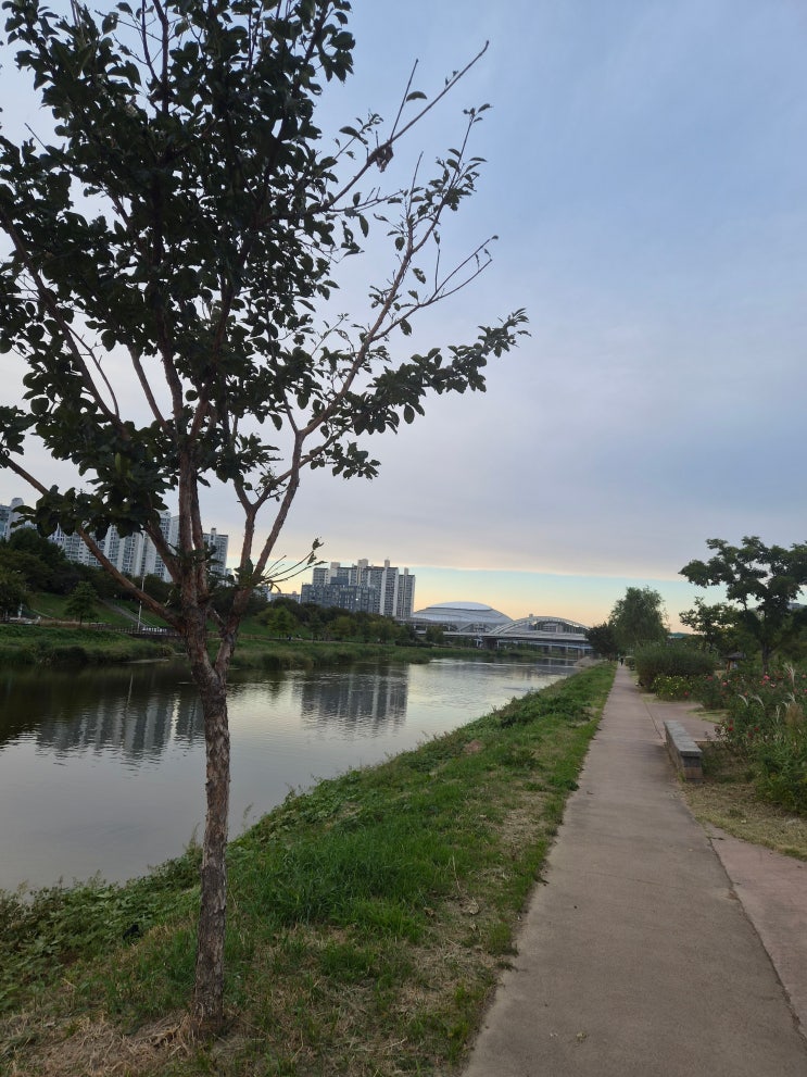 하프마라톤 2주 전 21km LSD 도전! 안양천에서 고척돔까지직접 뛰어봤습니다!
