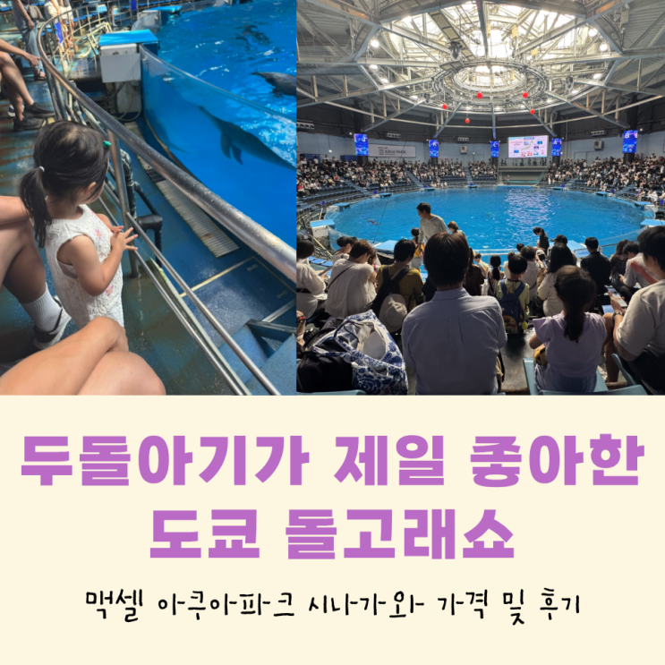 도쿄 아기랑 맥셀 아쿠아파크 시나가와, 돌고래쇼 가격 및 후기