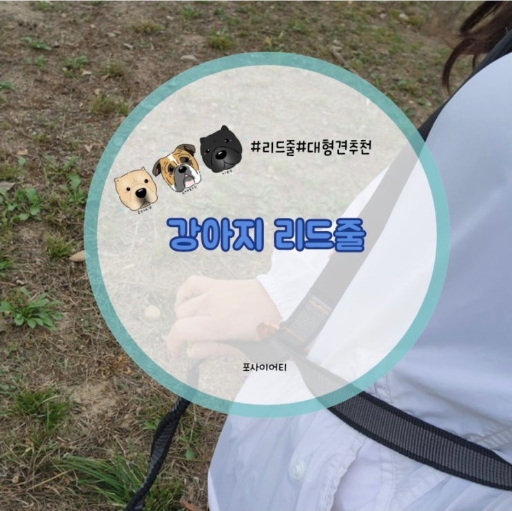 강아지 리드줄 추천, 논스톱 도그웨어 투어링 번지 어드저스터블 29kg 대형견 보호자 핸즈프리 후기 : 네이버 블로그