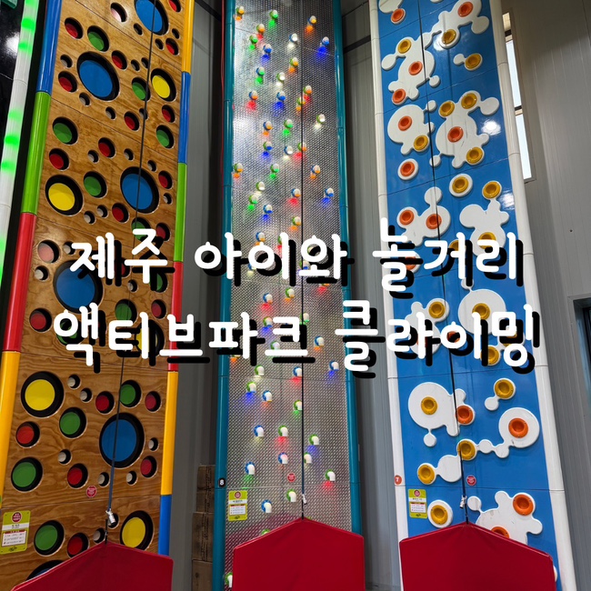 제주 아이와 놀거리 액티브파크 카트 클라이밍 체험 한번에