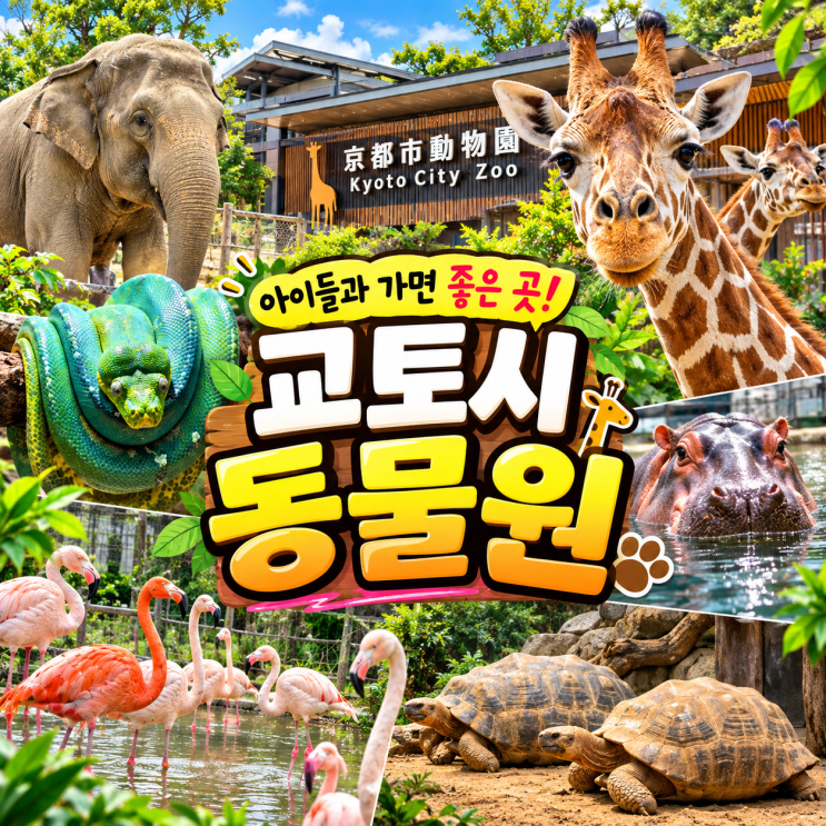 교토여행 아이들과 가볼만한 곳 교토시 동물원 솔직후기