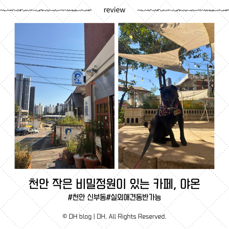 [천안/신부동] 카페 야온 실외 애견 동반 후기 : 네이버 블로그