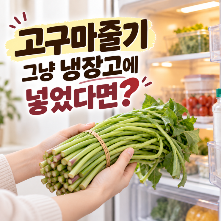 고구마줄기 보관 방법, 삶은 고구마줄기 냉장·냉동 보관법 : 네이버 블로그