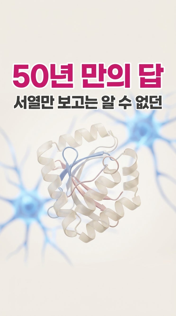 [논문 · 9월 16일] 50년 문제를 AI가 풀었다 - 알파폴드 : 네이버 블로그