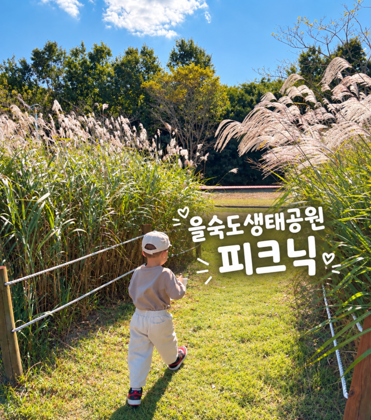 부산 강서구 가을 아이랑 가볼만한곳 을숙도생태공원 피크닉