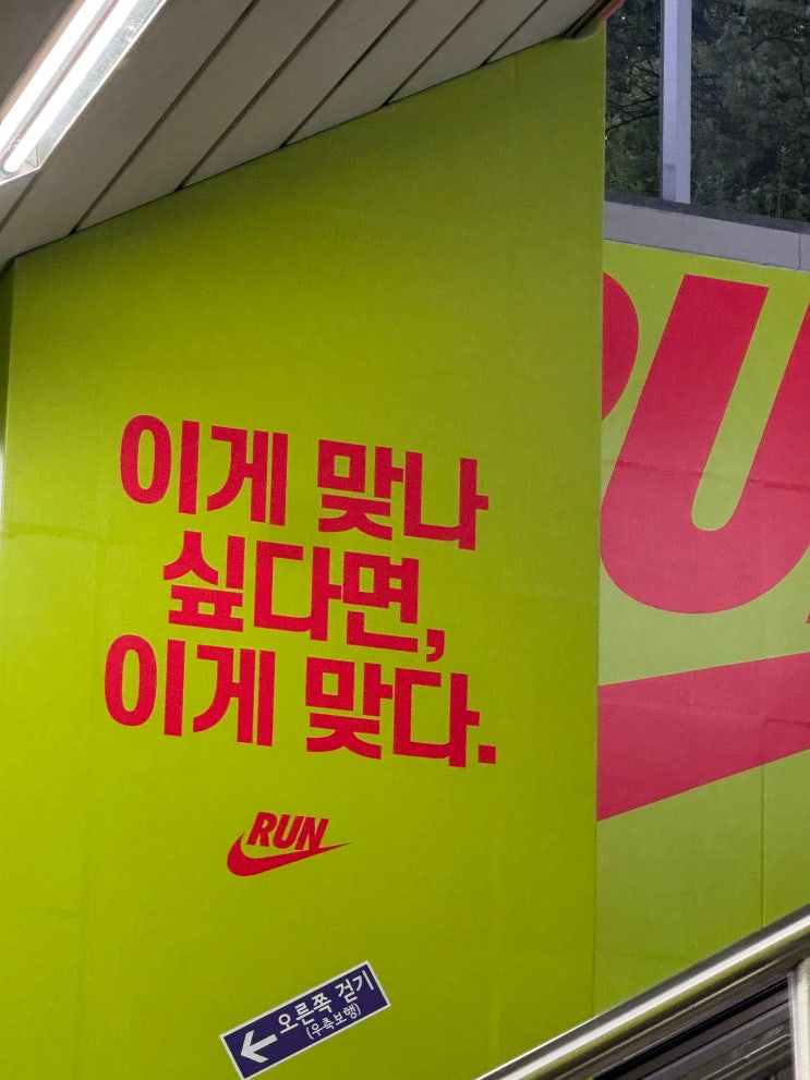 2026 마스터즈 하프마라톤 후기 (난 10km)