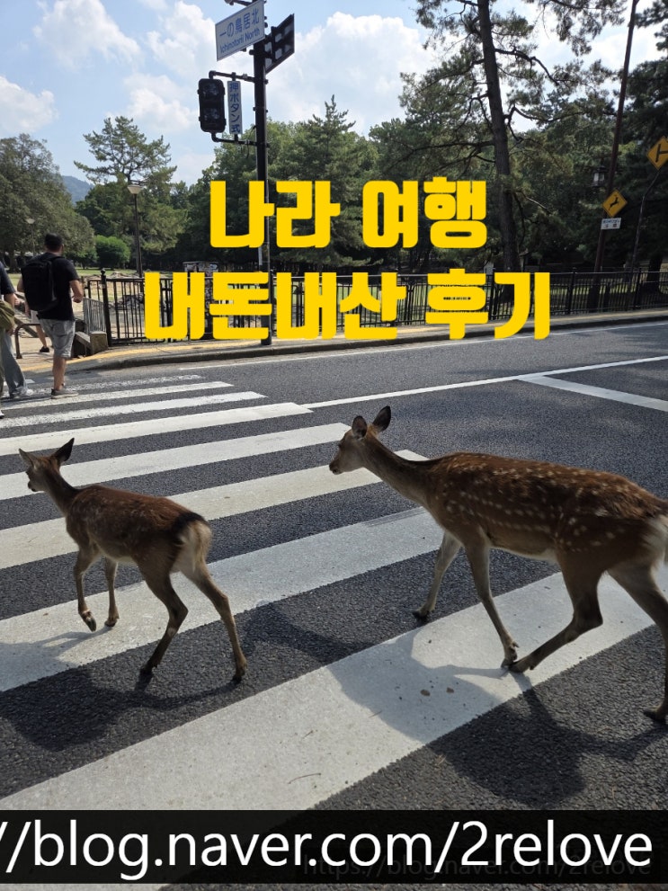 <나라> 나라 여행 후기 - 사슴공원, 히가시무키 상점가, 요시키엔 정....