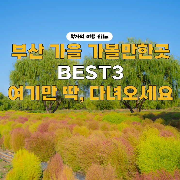 부산 가을 가볼만한곳 BEST3! 여기만 딱, 다녀오세요!