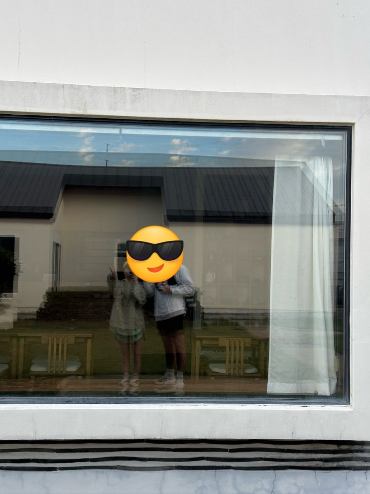 제주2박3일 3일차｜지미오름,오드랑베이커리 동문시장 미르담 제주고양이카페 : 네이버 블로그