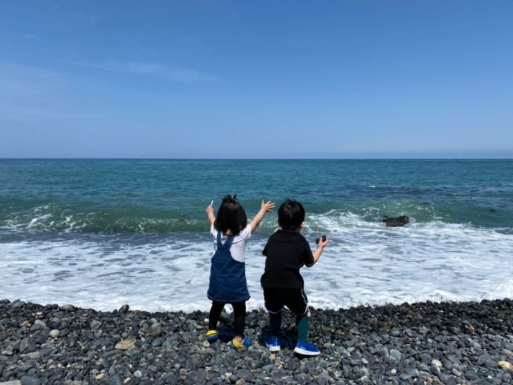 울산 주전 몽돌해변 무료 캠핑 | 부산 근교 아이들과 바다 피크닉 추....