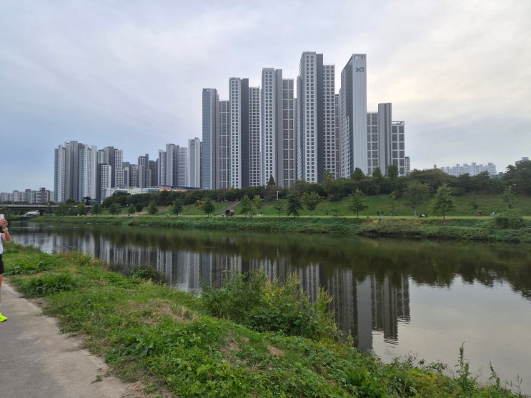 하프마라톤 2주 전 훈련, 21km LSD 후 회복은 어떻게 해야 할까?