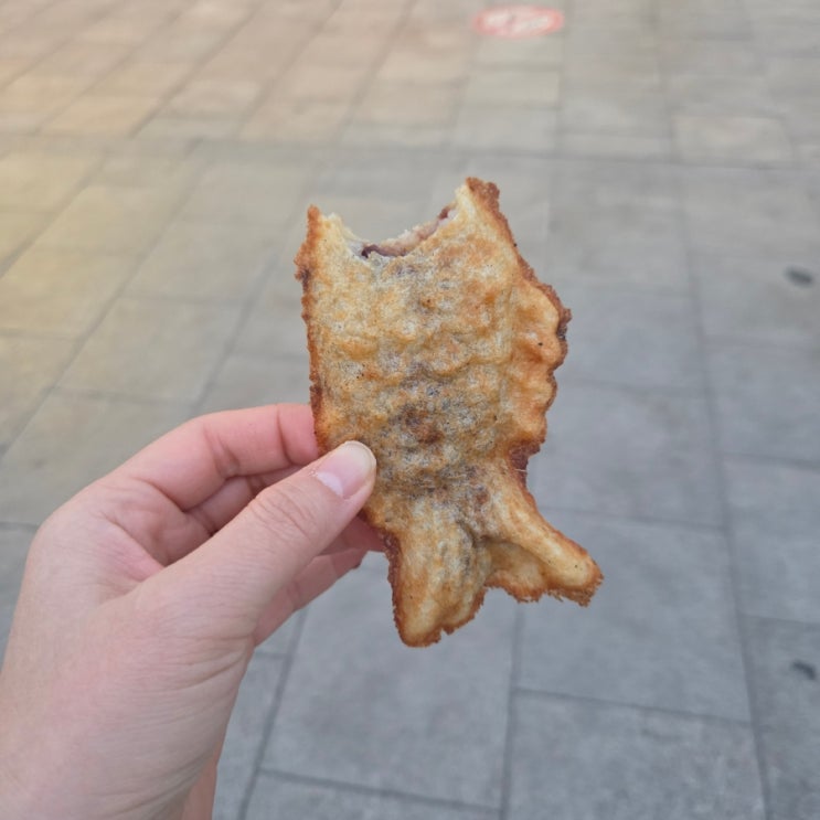 W09 : 네이버 블로그