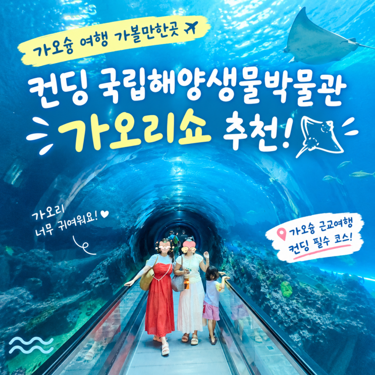 가오슝 여행 가볼만한곳｜컨딩 국립해양생물박물관, 가오리쇼 추천....